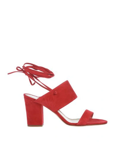 Shop Antonio Barbato Sandals In Red