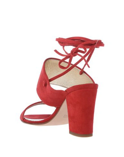 Shop Antonio Barbato Sandals In Red