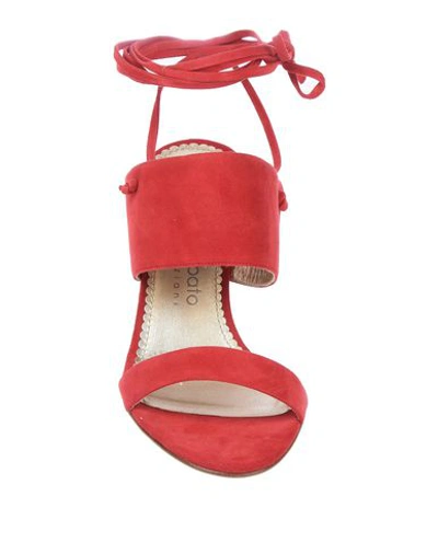 Shop Antonio Barbato Sandals In Red