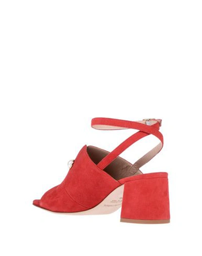 Shop Gianna Meliani Sandals In Red