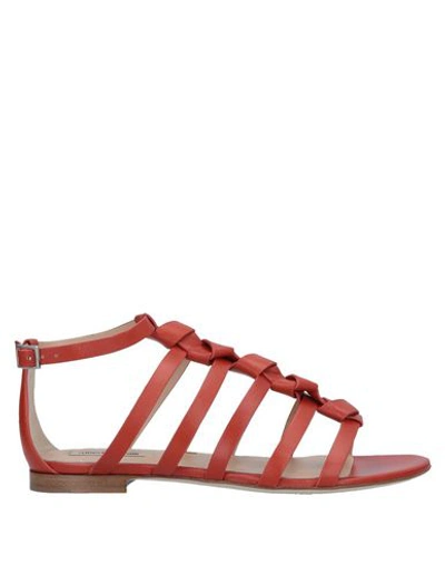 Shop Roberto Cavalli Sandals In Brick Red