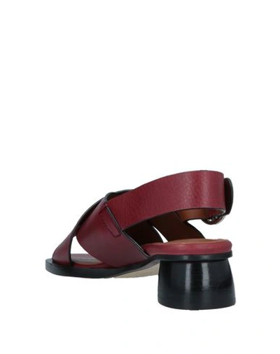 Shop Joseph Sandals In Maroon