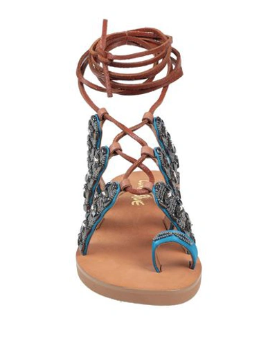 Shop Coral Blue Sandals In Azure