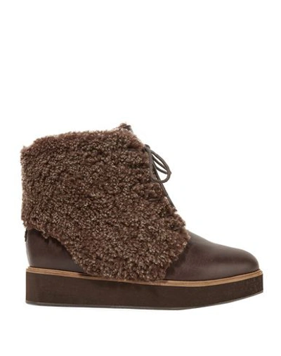 Shop Australia Luxe Collective Ankle Boot In Cocoa