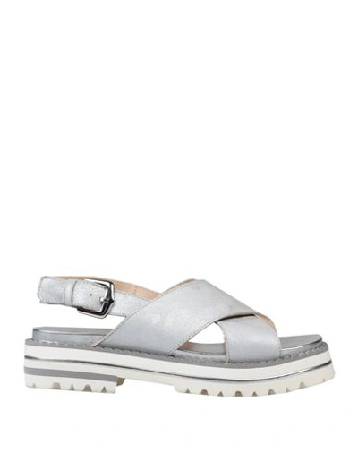 Shop Alberto Guardiani Sandals In Light Grey