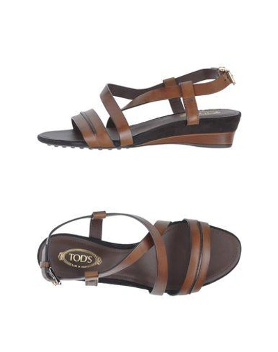 Shop Tod's Sandals In Cocoa