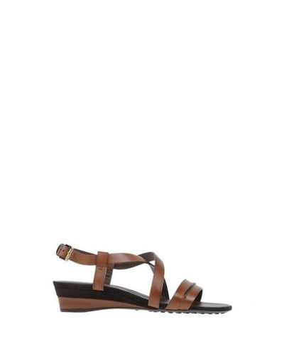 Tod's Sandals In Cocoa