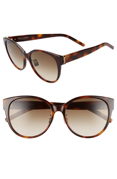 Shop Saint Laurent 57mm Round Sunglasses In Havana/ Brown Gradient