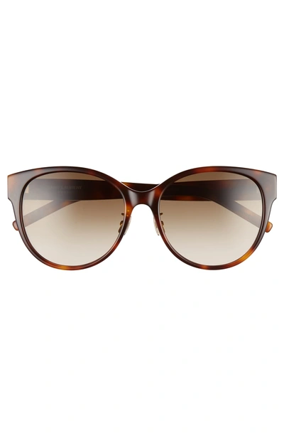 Shop Saint Laurent 57mm Round Sunglasses In Havana/ Brown Gradient