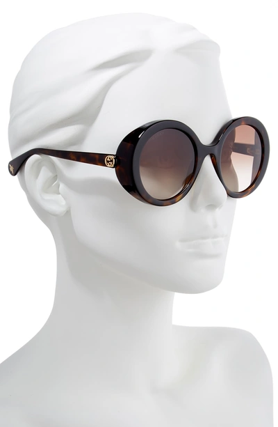 Shop Gucci 53mm Round Sunglasses - Dark Havana/ Brown Gradient