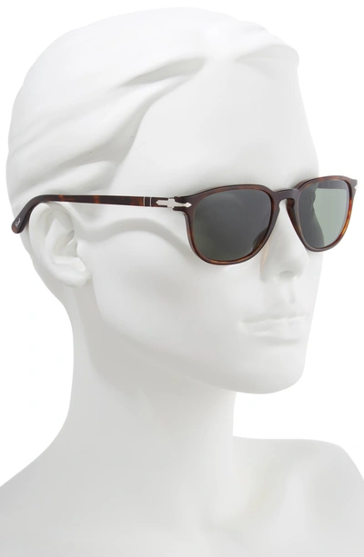 Shop Persol 52mm Square Sunglasses - Havana/ Green Solid