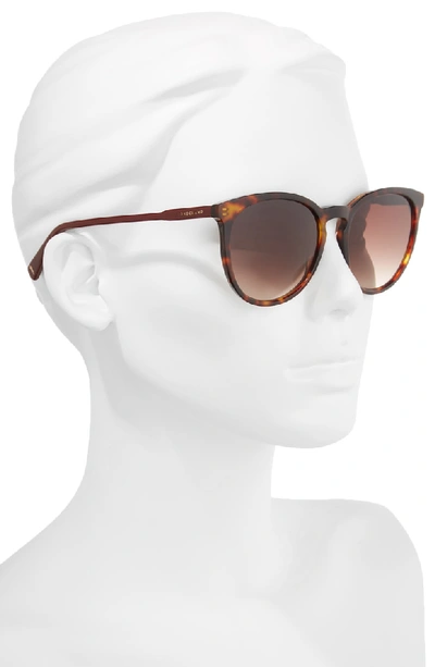 Shop Longchamp 56mm Round Sunglasses In Havana Burgundy