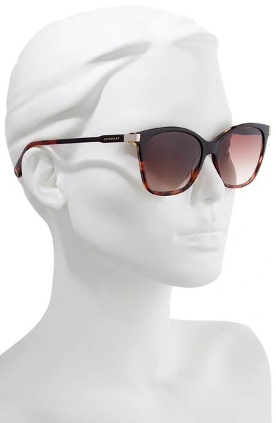 Shop Longchamp Le Pliage 54mm Butterfly Sunglasses In Marble Purple