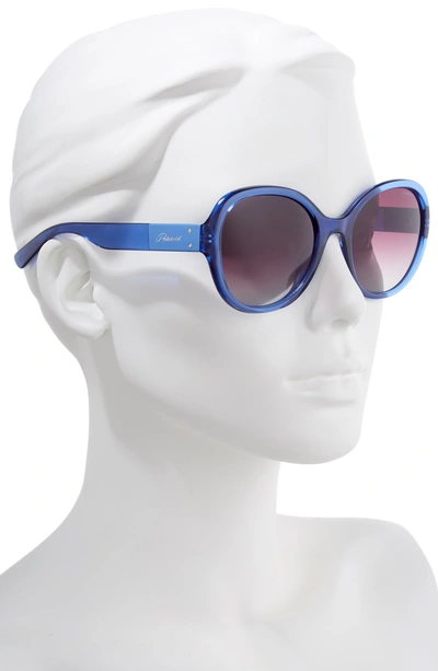 Shop Polaroid 55mm Polarized Round Sunglasses - Blue