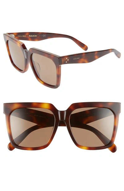 Shop Celine 55mm Polarized Square Sunglasses In Classical Havana/ Brown