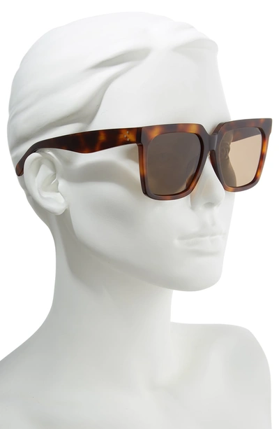 Shop Celine 55mm Polarized Square Sunglasses In Classical Havana/ Brown