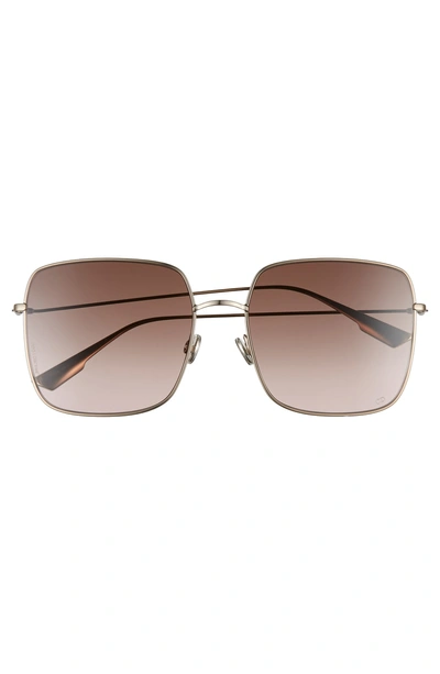 Shop Dior Stellaire 59mm Square Sunglasses In Champagne