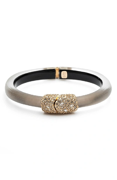 Shop Alexis Bittar Crystal Encrusted Clasp Skinny Bangle In Silver