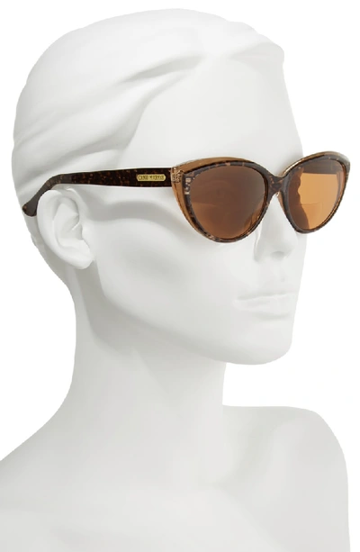 Shop Corinne Mccormack Corrine Mccormack Anita 59mm Reading Sunglasses - Dark Leopard