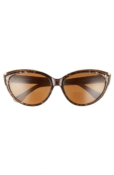 Shop Corinne Mccormack Corrine Mccormack Anita 59mm Reading Sunglasses - Dark Leopard