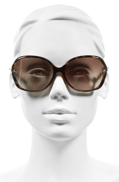 Shop Gucci 60mm Open Temple Oval Sunglasses - Havana/ Brown