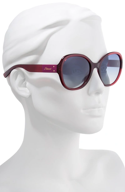 Shop Polaroid 55mm Polarized Round Sunglasses - Ople Burgundy