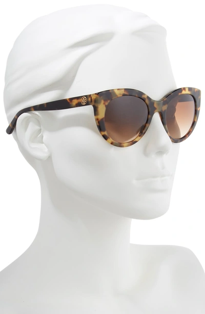 Shop Tory Burch 51mm Cat Eye Sunglasses In Tortoise Gradient