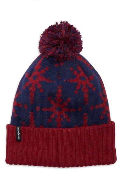 Shop Patagonia 'powder Down' Beanie - Red In Solar Stitch/ Oxide Red