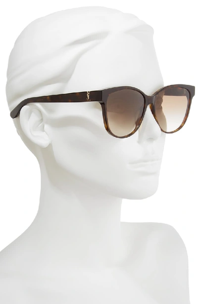 Shop Saint Laurent 58mm Cat Eye Sunglasses In Havana