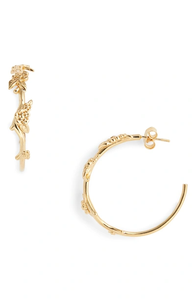 Shop Meadowlark Large Alba Hoop Earrings In Gold Plated