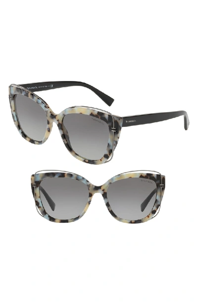Shop Tiffany & Co 54mm Gradient Cat Eye Sunglasses In Beige Havana Gradient