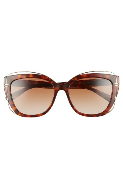 Shop Tiffany & Co 54mm Gradient Cat Eye Sunglasses In Havana Gradient