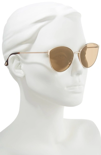 Shop Tom Ford Zeila 60mm Mirrored Cat Eye Sunglasses - Rose Gold/ Havana/ Brown Gold