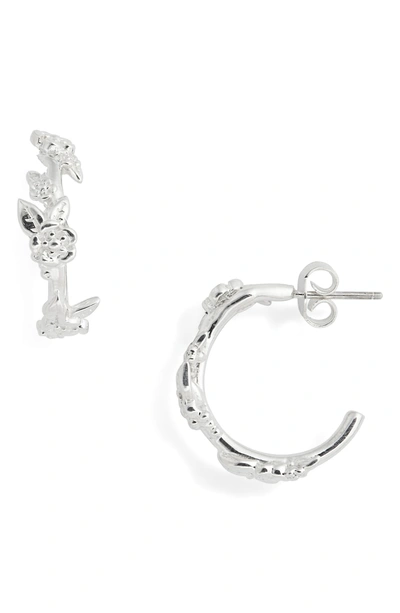 Shop Meadowlark Small Alba Hoop Earrings In Sterling Silver