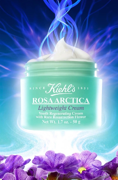 Shop Kiehl's Since 1851 'rosa Arctica' Lightweight Cream In 50ml