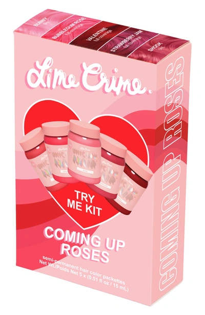 Shop Lime Crime Coming Up Roses Unicorn Hair Try Me Kit