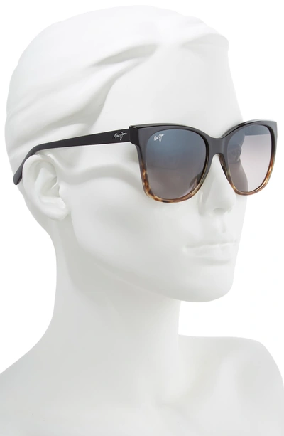 Shop Maui Jim Alekona 55mm Polarizedplus2 Sunglasses In Black W Tokyo Tort/neut Grey