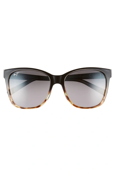 Shop Maui Jim Alekona 55mm Polarizedplus2 Sunglasses In Black W Tokyo Tort/neut Grey