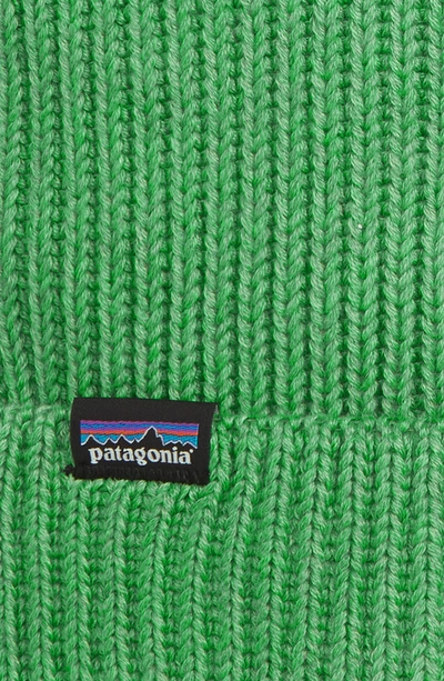 Shop Patagonia 'fisherman' Beanie - Green In Myrtle Green