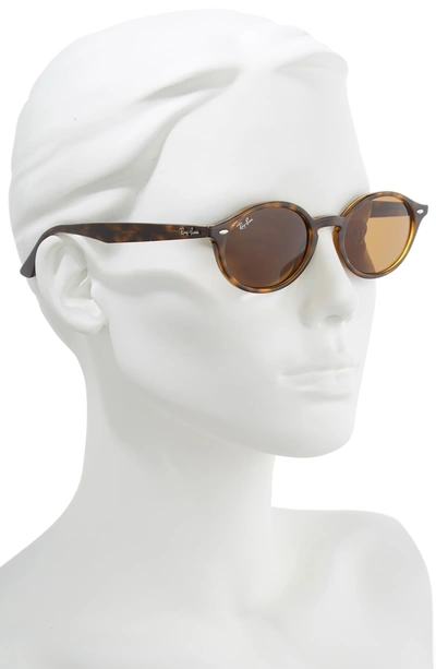 Shop Ray Ban 51mm Oval Sunglasses - Havana Solid