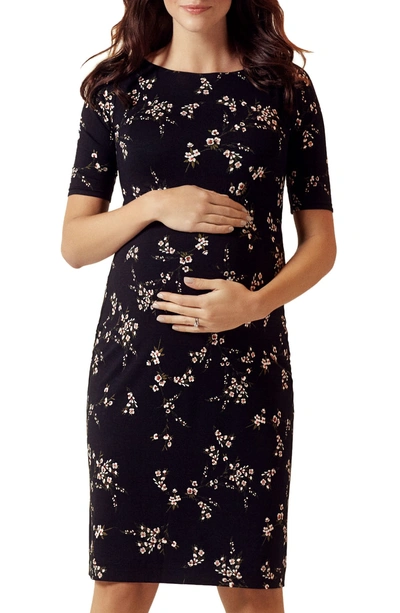 Shop Tiffany Rose Anna Maternity Shift Dress In Night Blossom