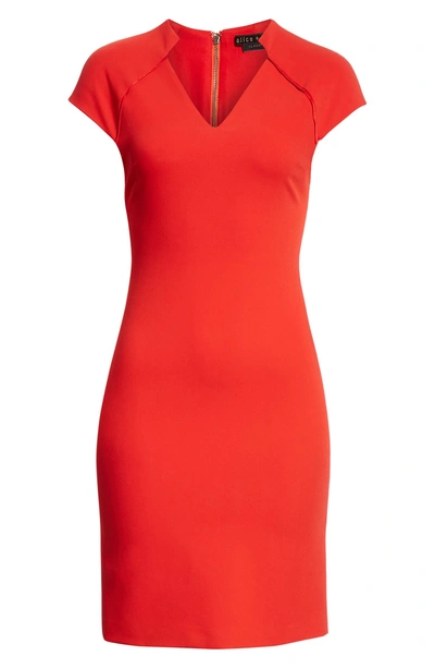 Shop Alice And Olivia Latisha Fitted Dress In Cherry