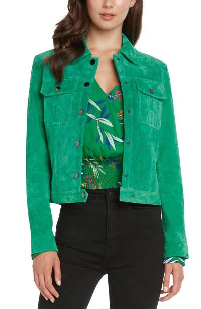 Shop Willow & Clay Suede Crop Jacket In Kelly Green