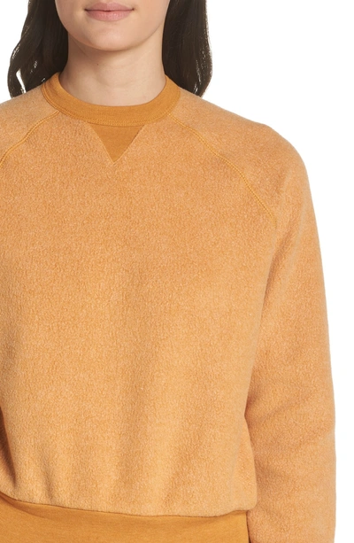 Shop Alternative Champ Eco Teddy Sweatshirt In Eco True Warm Gold