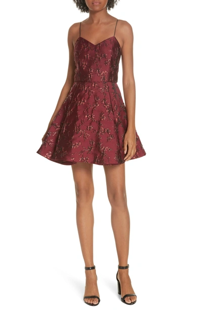 Shop Alice And Olivia Anette Fit & Flare Party Dress In Bordeaux