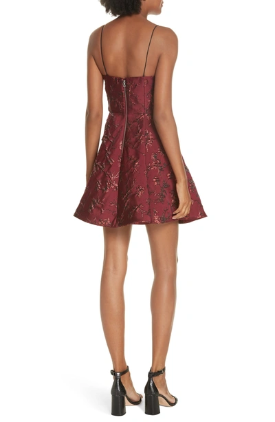 Shop Alice And Olivia Anette Fit & Flare Party Dress In Bordeaux