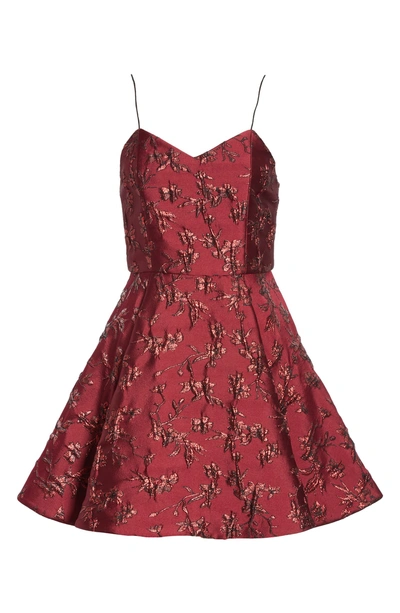 Shop Alice And Olivia Anette Fit & Flare Party Dress In Bordeaux