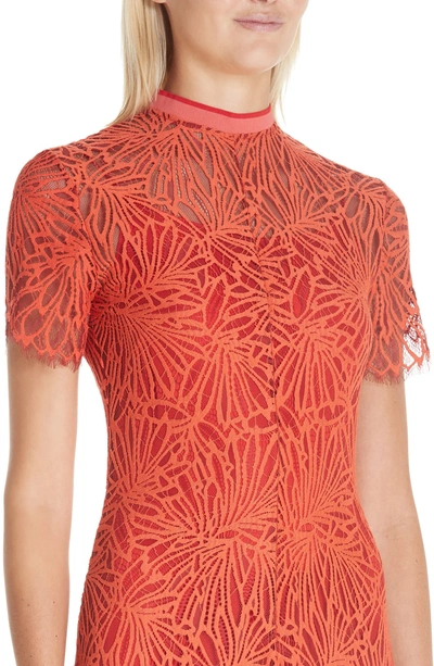 Shop Proenza Schouler Stretch Lace Dress In Tangerine