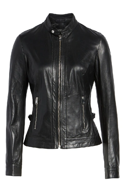 Shop Lamarque Lambskin Leather Biker Jacket In Black