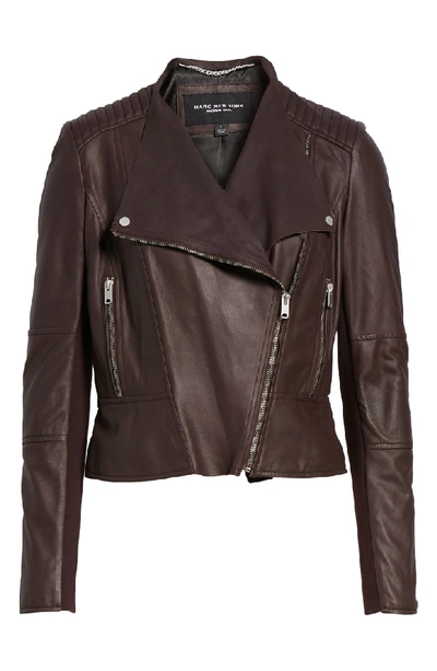 Shop Marc New York Feather Leather Moto Jacket In Burgundy